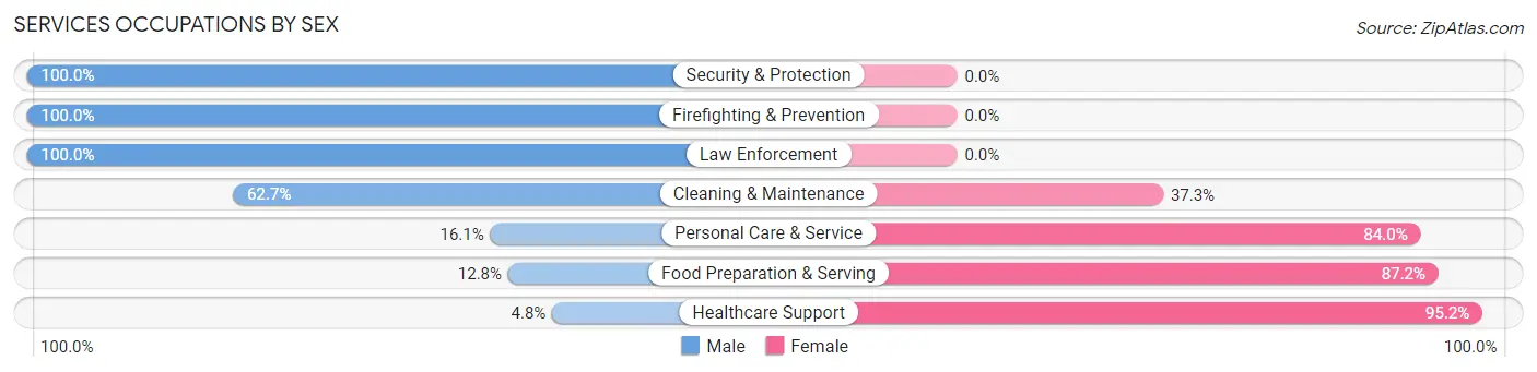 Services Occupations by Sex in Zip Code 14809