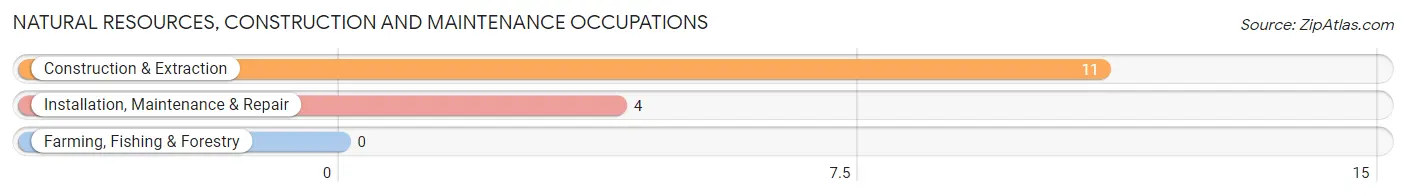 Natural Resources, Construction and Maintenance Occupations in Zip Code 14818