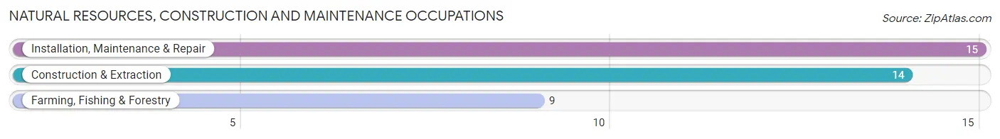 Natural Resources, Construction and Maintenance Occupations in Zip Code 14820