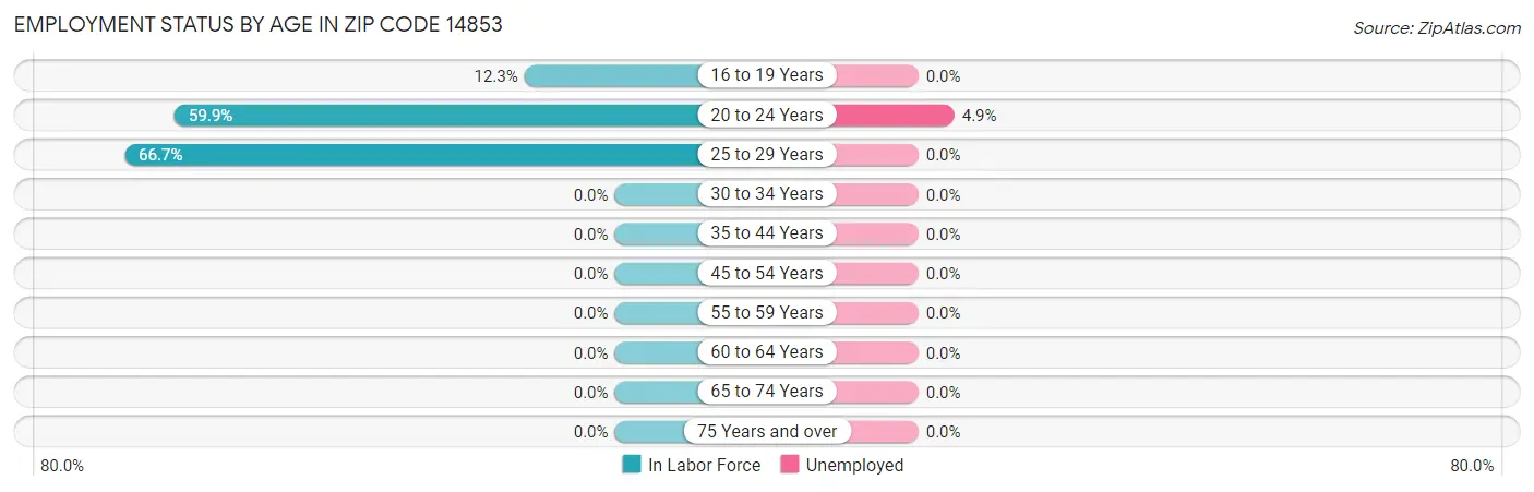 Employment Status by Age in Zip Code 14853