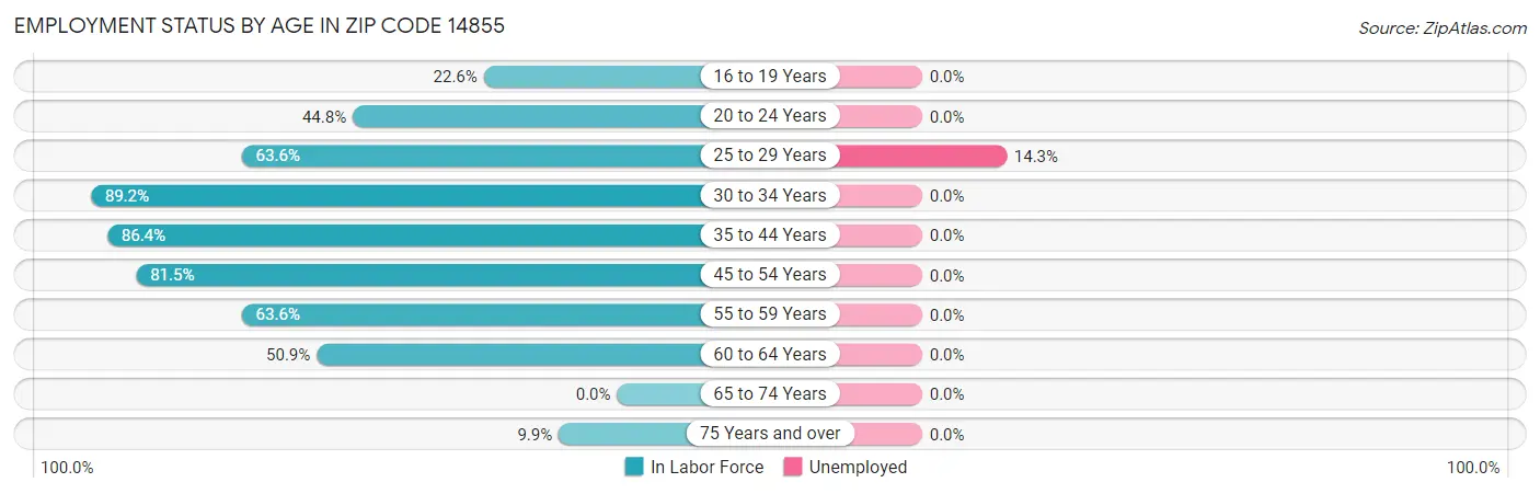 Employment Status by Age in Zip Code 14855