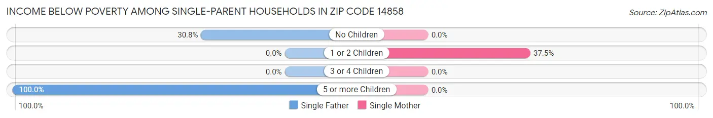 Income Below Poverty Among Single-Parent Households in Zip Code 14858