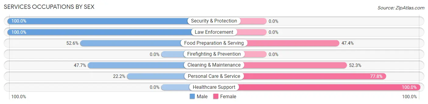Services Occupations by Sex in Zip Code 14858