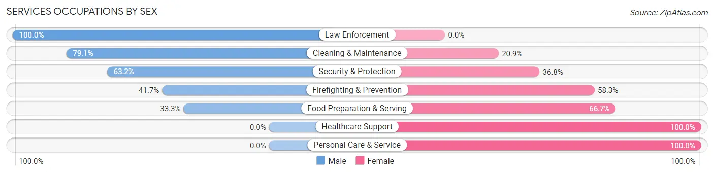 Services Occupations by Sex in Zip Code 14865