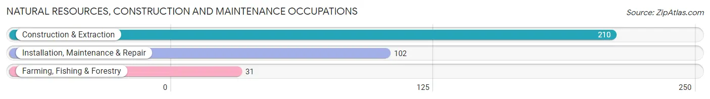 Natural Resources, Construction and Maintenance Occupations in Zip Code 14870