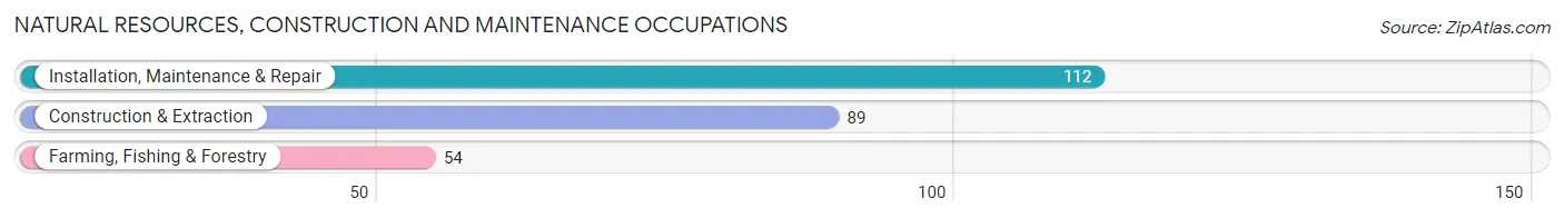 Natural Resources, Construction and Maintenance Occupations in Zip Code 14883