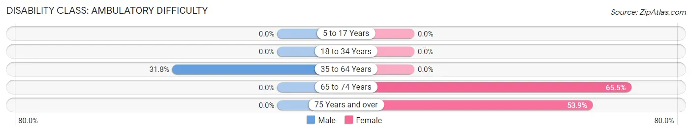 Disability in Zip Code 15038: <span>Ambulatory Difficulty</span>