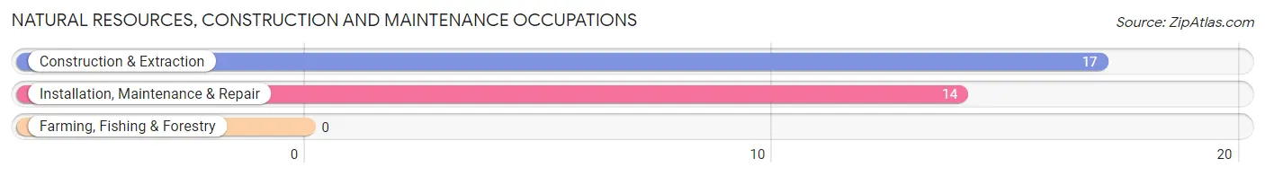 Natural Resources, Construction and Maintenance Occupations in Zip Code 15078