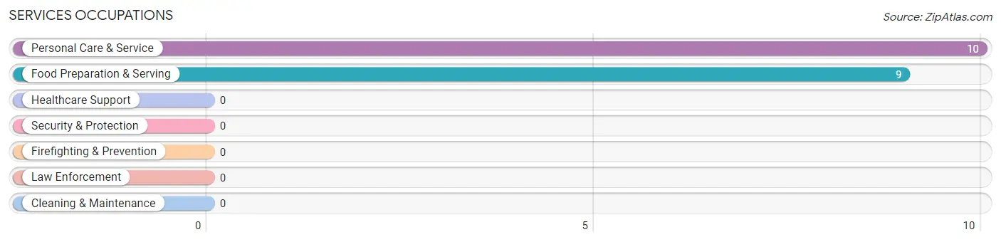 Services Occupations in Zip Code 15078