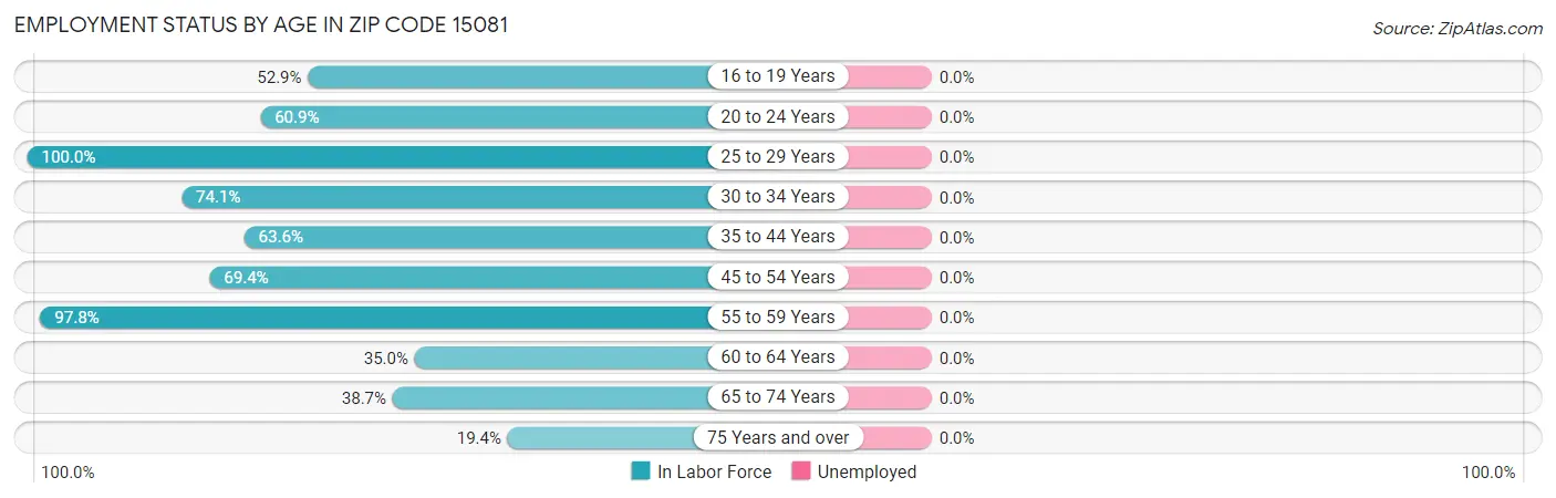 Employment Status by Age in Zip Code 15081