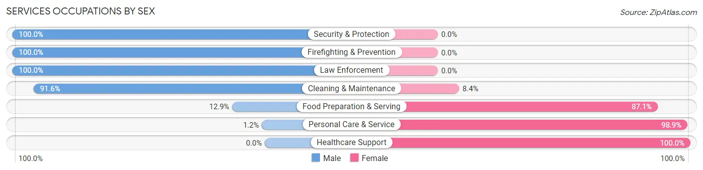 Services Occupations by Sex in Zip Code 15131