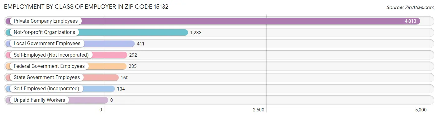 Employment by Class of Employer in Zip Code 15132