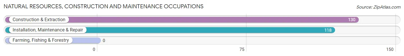 Natural Resources, Construction and Maintenance Occupations in Zip Code 15133