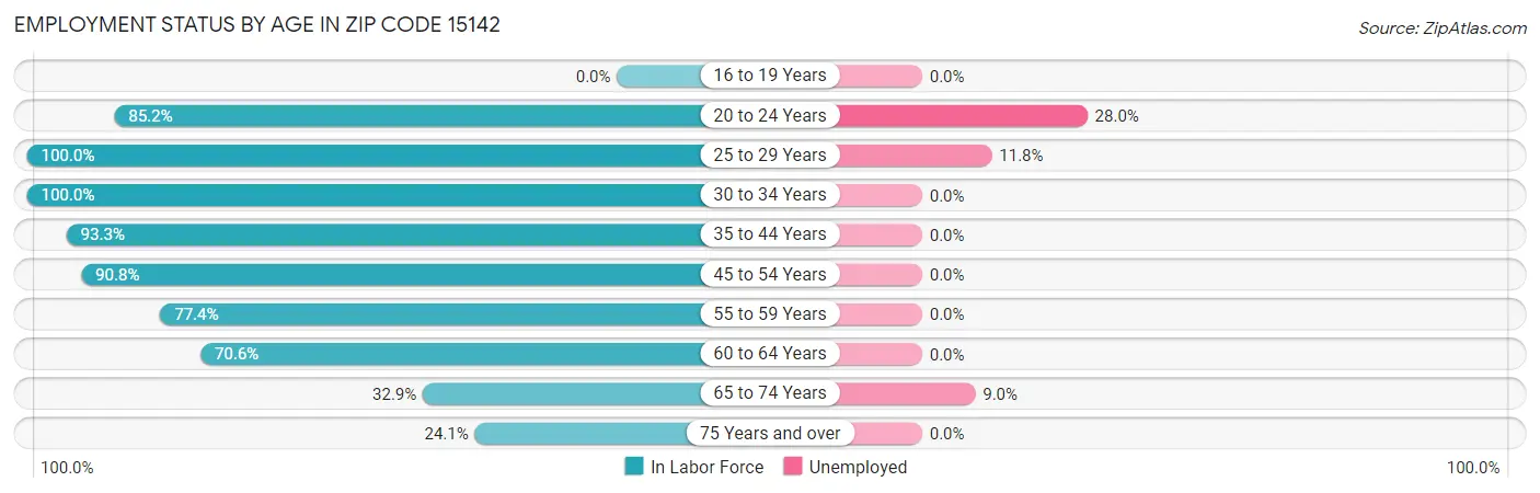 Employment Status by Age in Zip Code 15142