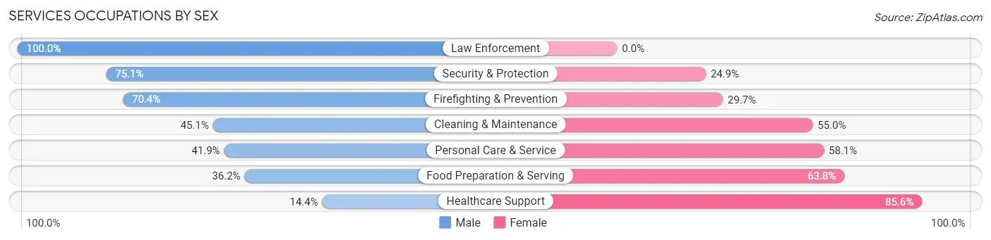 Services Occupations by Sex in Zip Code 15213