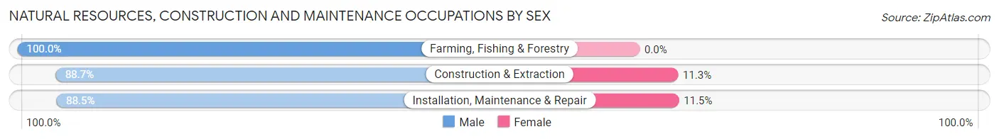 Natural Resources, Construction and Maintenance Occupations by Sex in Zip Code 15218