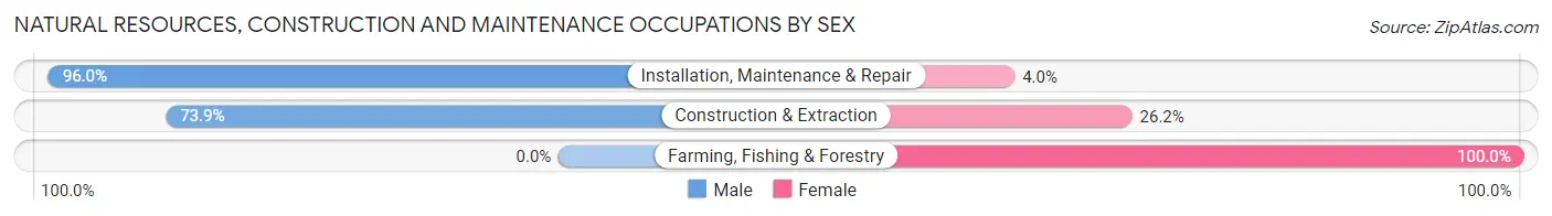 Natural Resources, Construction and Maintenance Occupations by Sex in Zip Code 15221