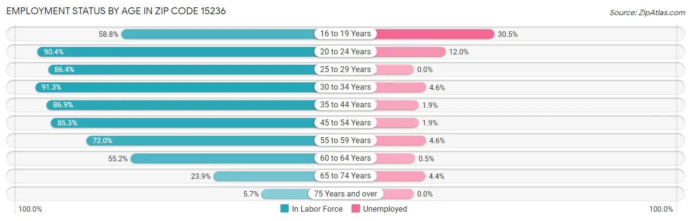 Employment Status by Age in Zip Code 15236