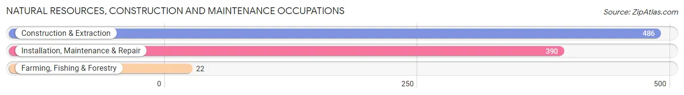 Natural Resources, Construction and Maintenance Occupations in Zip Code 15239