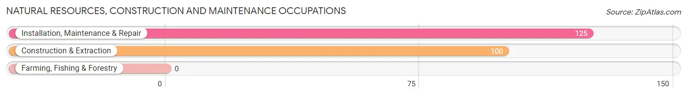 Natural Resources, Construction and Maintenance Occupations in Zip Code 15243