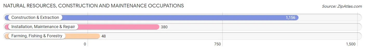 Natural Resources, Construction and Maintenance Occupations in Zip Code 15317