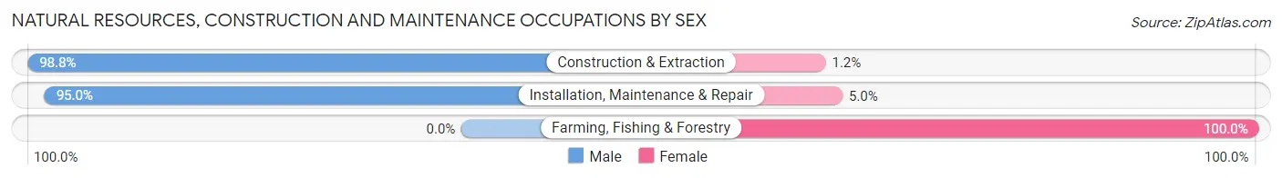 Natural Resources, Construction and Maintenance Occupations by Sex in Zip Code 15332