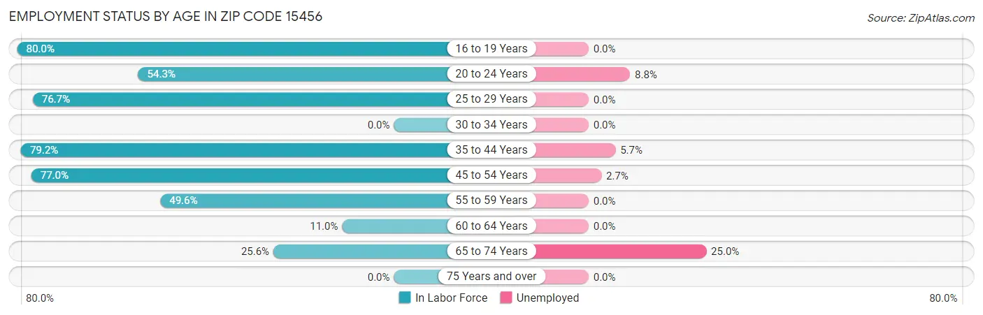 Employment Status by Age in Zip Code 15456