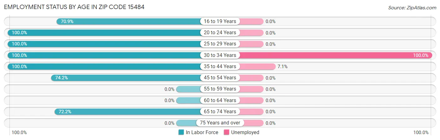 Employment Status by Age in Zip Code 15484