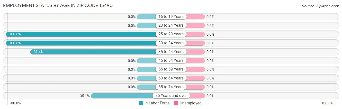 Employment Status by Age in Zip Code 15490