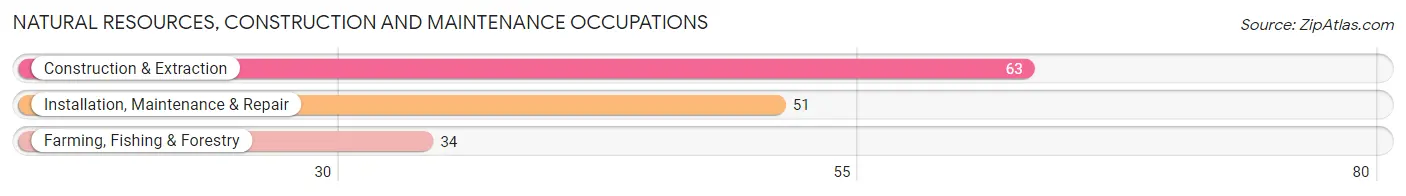 Natural Resources, Construction and Maintenance Occupations in Zip Code 15521