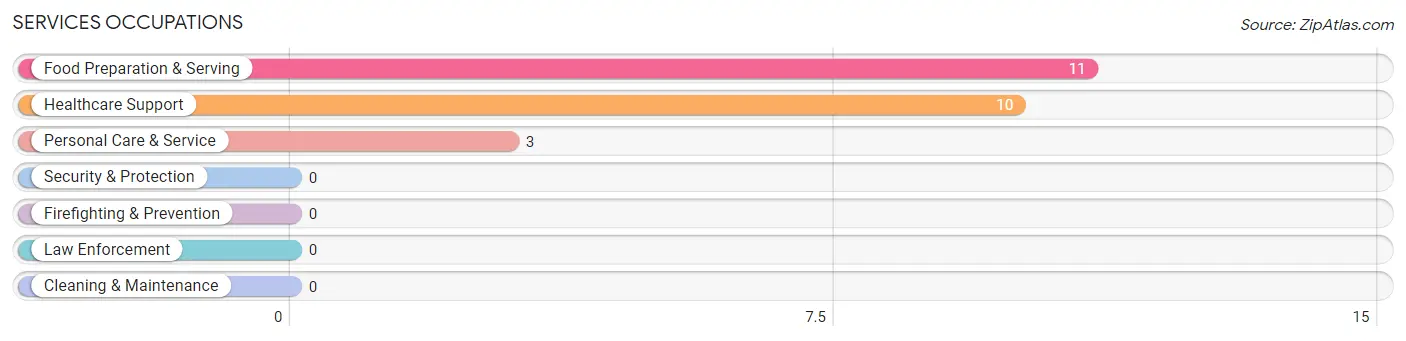 Services Occupations in Zip Code 15555