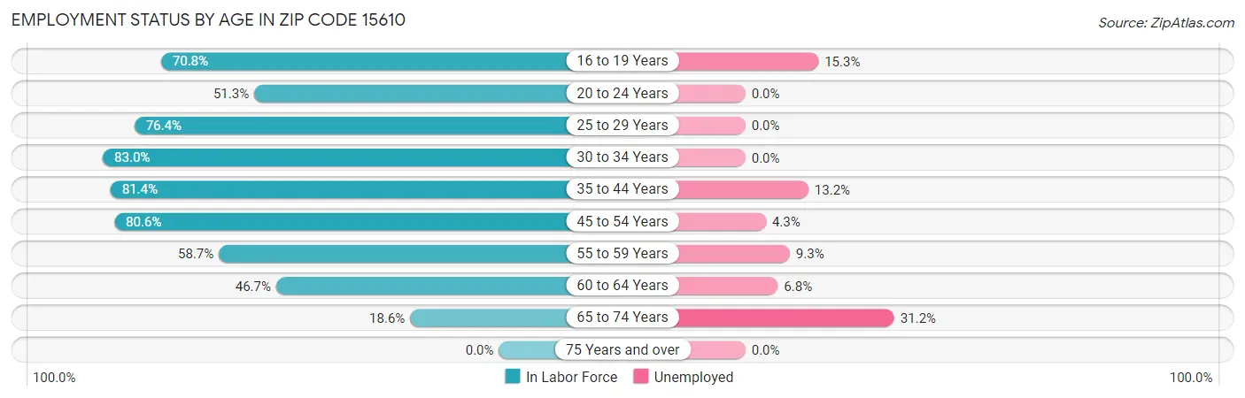 Employment Status by Age in Zip Code 15610