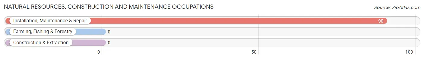 Natural Resources, Construction and Maintenance Occupations in Zip Code 15698