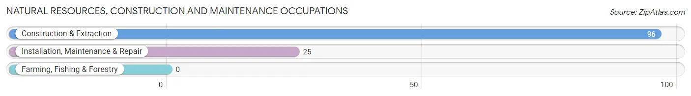 Natural Resources, Construction and Maintenance Occupations in Zip Code 15909