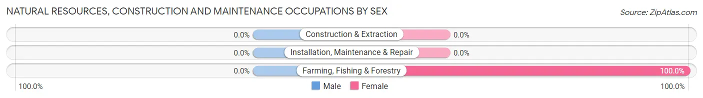 Natural Resources, Construction and Maintenance Occupations by Sex in Zip Code 15928