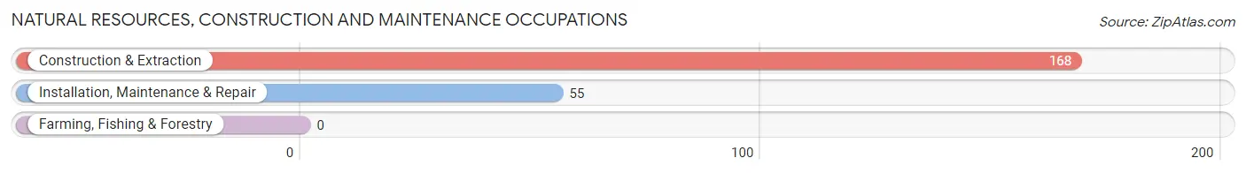 Natural Resources, Construction and Maintenance Occupations in Zip Code 15943