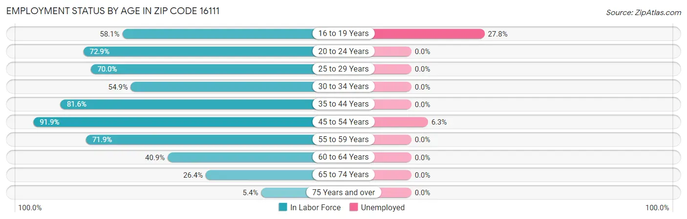Employment Status by Age in Zip Code 16111
