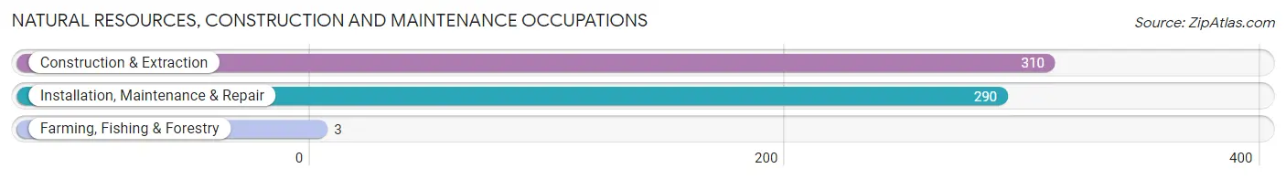 Natural Resources, Construction and Maintenance Occupations in Zip Code 16127