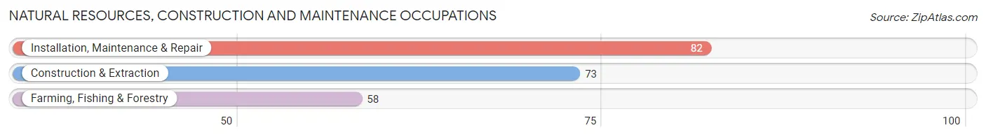 Natural Resources, Construction and Maintenance Occupations in Zip Code 16146