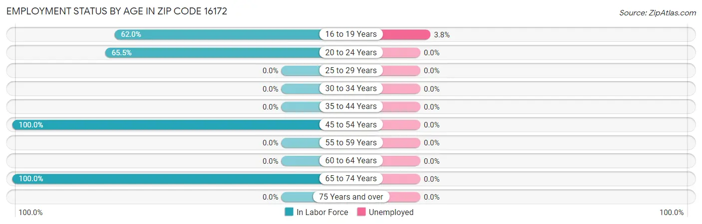 Employment Status by Age in Zip Code 16172