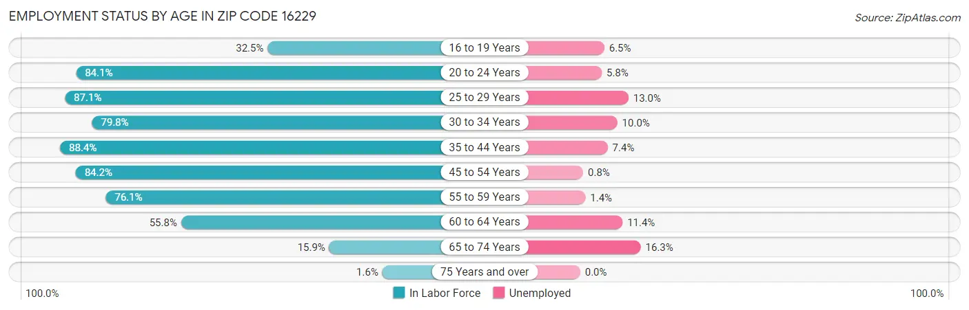 Employment Status by Age in Zip Code 16229