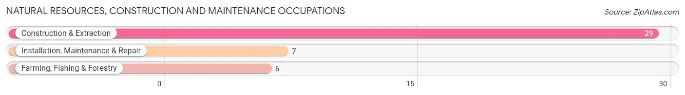 Natural Resources, Construction and Maintenance Occupations in Zip Code 16239