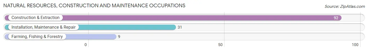 Natural Resources, Construction and Maintenance Occupations in Zip Code 16240