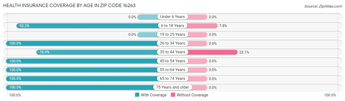 Health Insurance Coverage by Age in Zip Code 16263