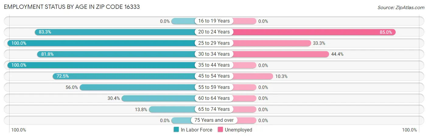 Employment Status by Age in Zip Code 16333