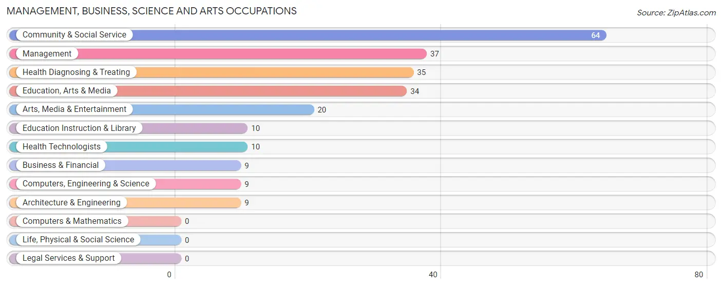 Management, Business, Science and Arts Occupations in Zip Code 16411