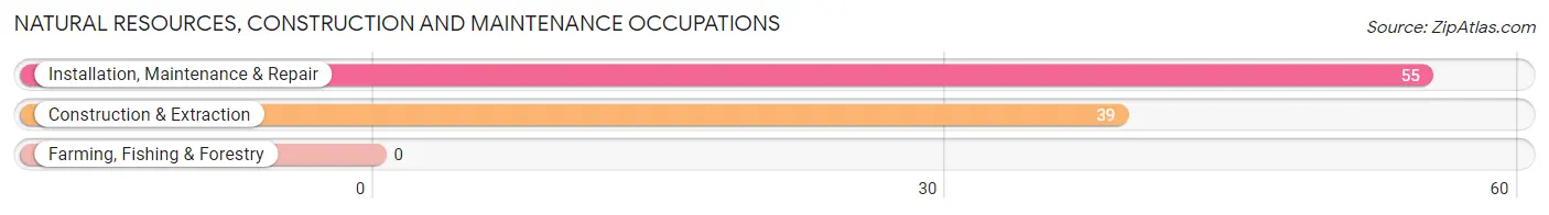 Natural Resources, Construction and Maintenance Occupations in Zip Code 16411