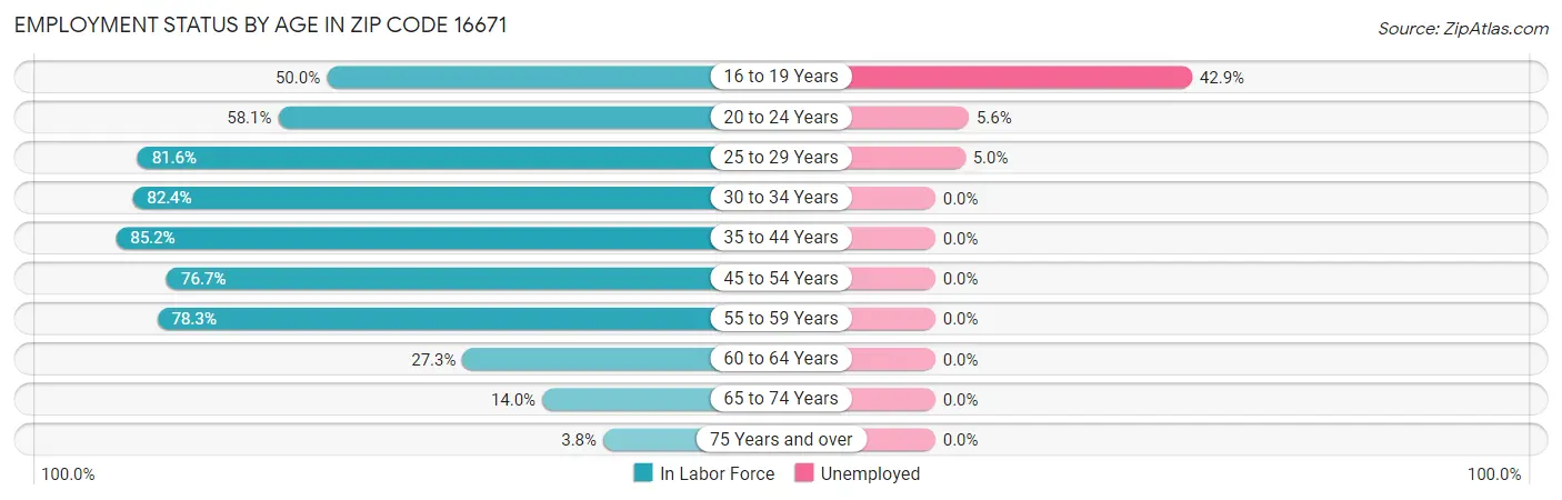 Employment Status by Age in Zip Code 16671