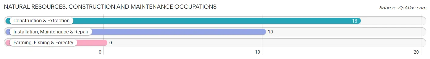 Natural Resources, Construction and Maintenance Occupations in Zip Code 16680