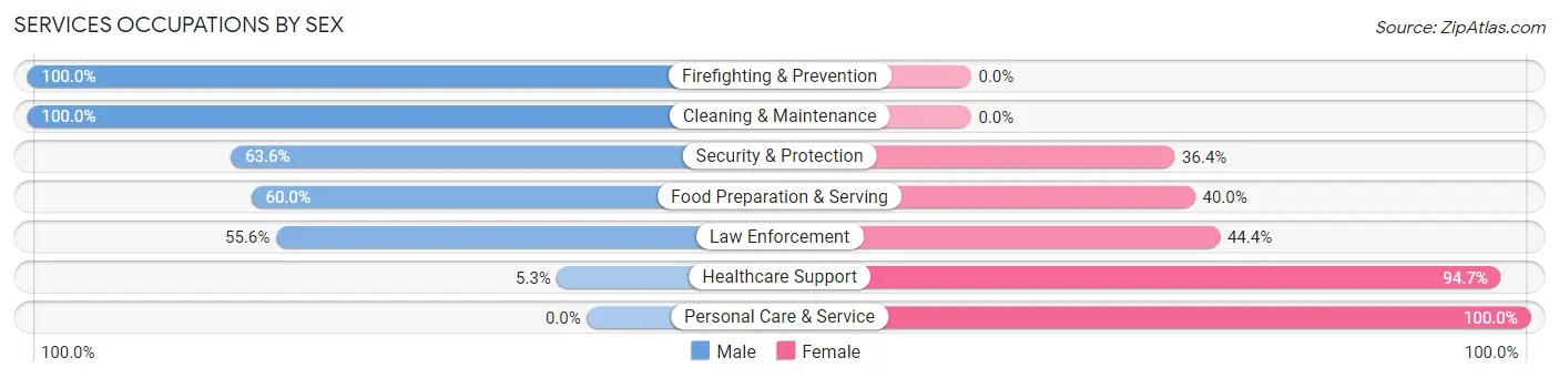 Services Occupations by Sex in Zip Code 16740